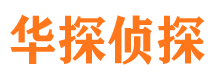 昭阳市侦探公司